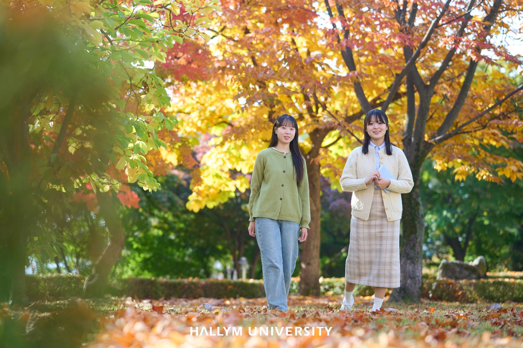 한림대학교 가을스케치 with 한아 6.jpg 첨부 이미지